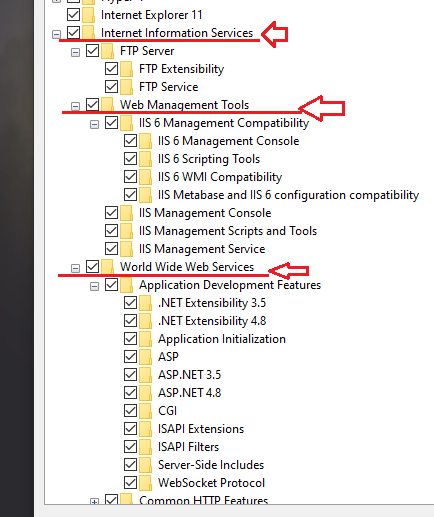 iis_activation